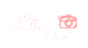 TheCameraFrame Logo